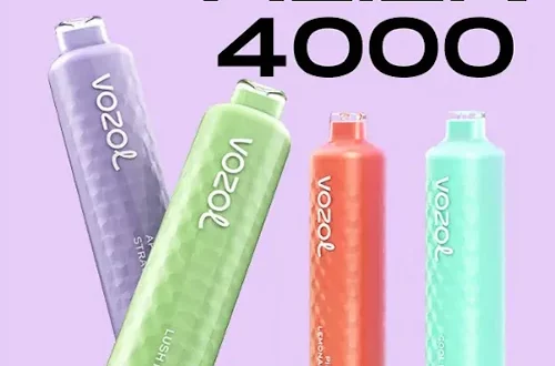 Review of Vozol Alien 4000 Disposable Kit